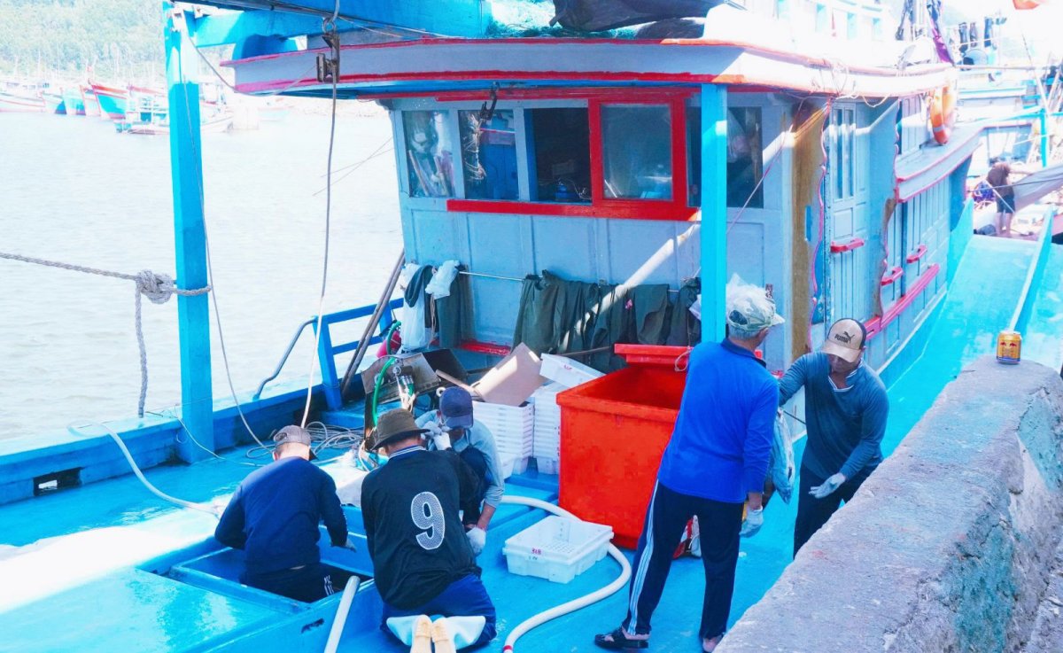 Quang Ngai refuerza el uso de la tecnología digital para combatir la pesca ilegal
